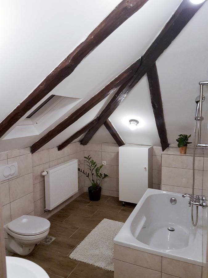Mickey Mouse Supilova 24 Appartement Zagreb