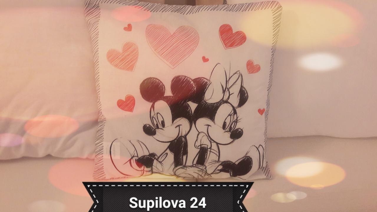 Mickey Mouse Supilova 24 Appartement *