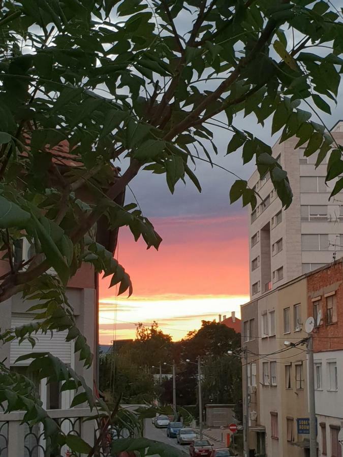 Mickey Mouse Supilova 24 Appartement Zagreb